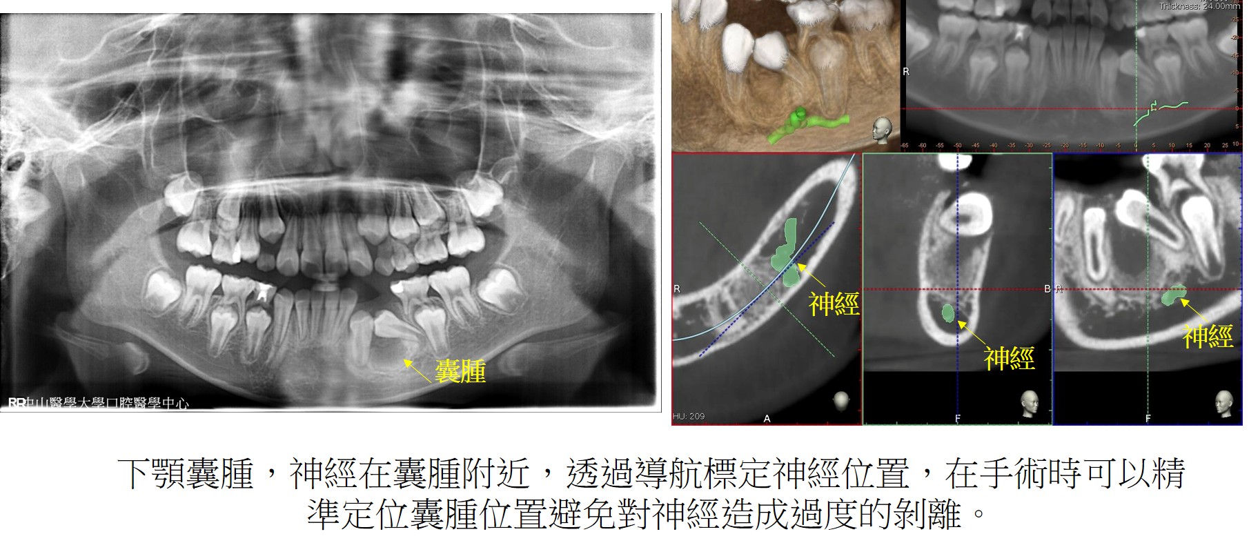 圖片1 圖片1